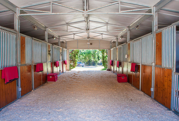 Oprah Winfrey Horse Farm