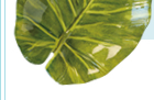 2 Leaf Platters B