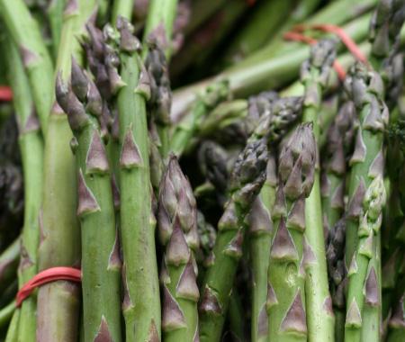 House & Home - Asparagus With Blue Cheese Dressing Recipe