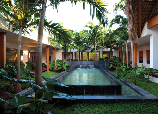 tropical pool backyard