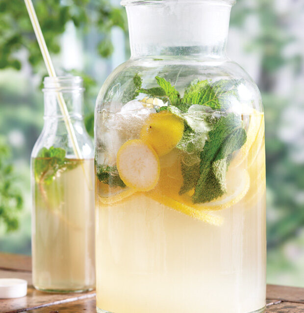 Homemade Ginger Ale Recipe
