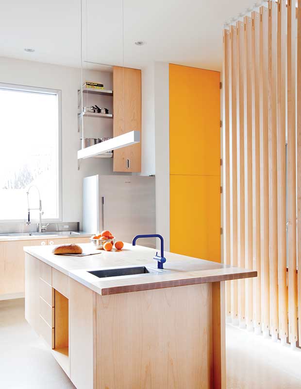Wood kitchen with bright accent door.