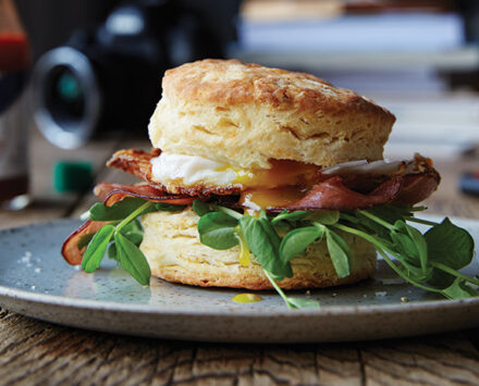 Fluffy Sour Cream Biscuits