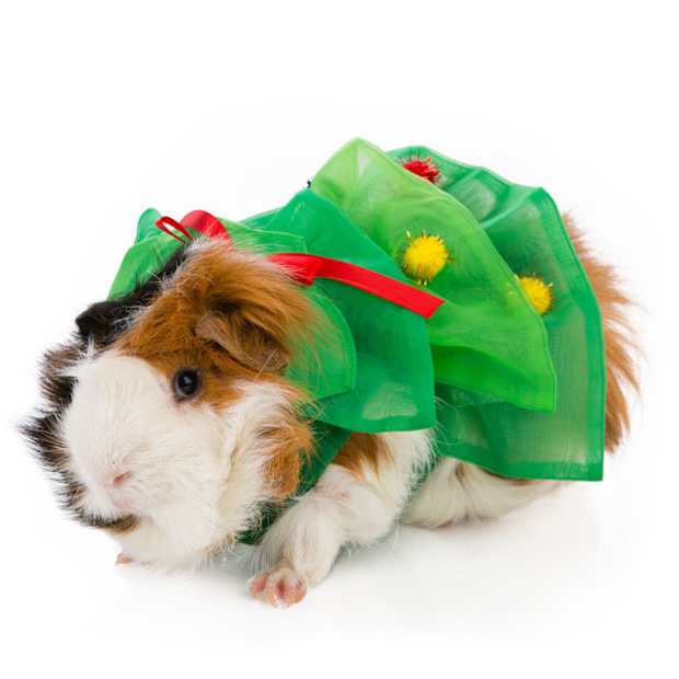 POPETPOP Pet Christmas Hat Pet Hair Accessories Christmas Costume Hamster Headwear for Hamster Dog Cat Hedgehog Guinea-Pig 