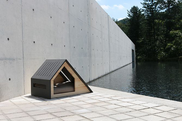 modern dog houses