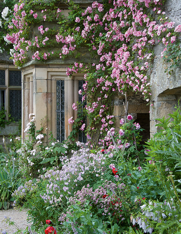 english garden arnie maynard