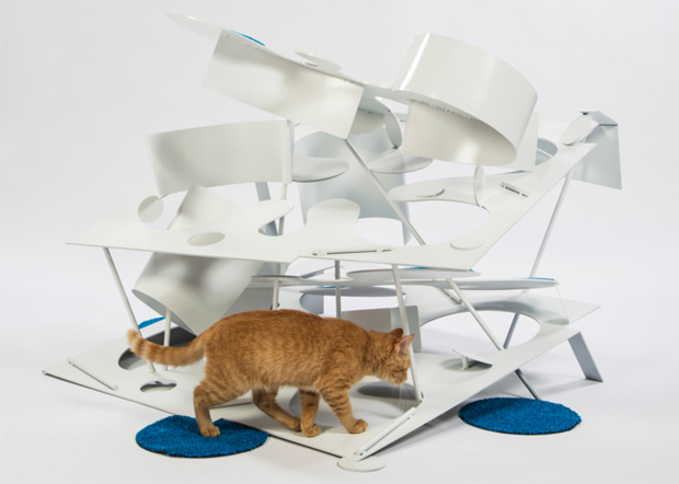 LA-Architect-Build-Cat-Homes-1