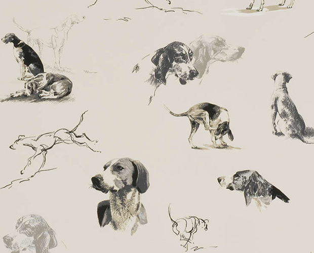 piere frey dog wallpaper
