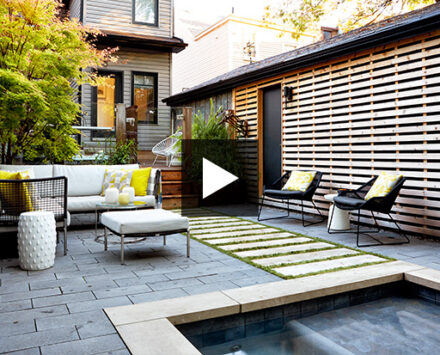 small backyard