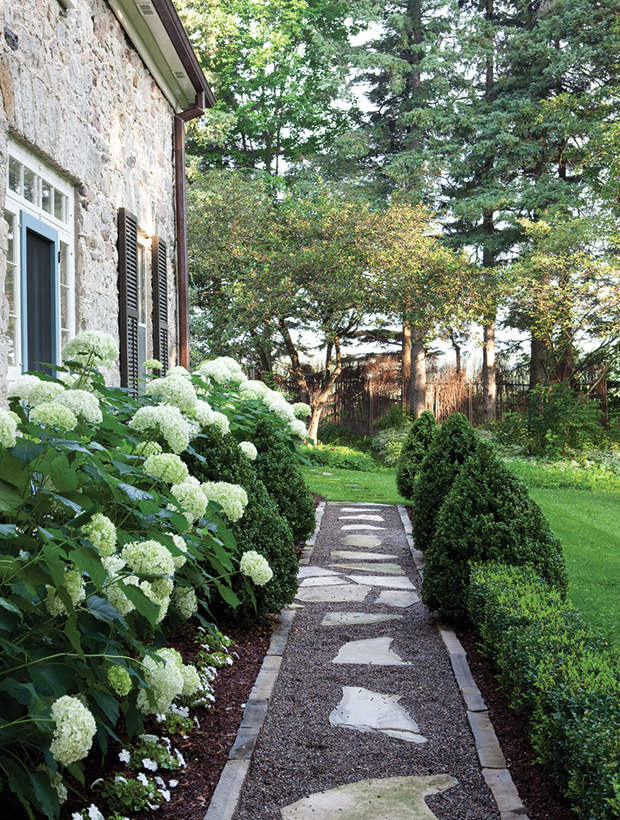 white hydrangea garden path