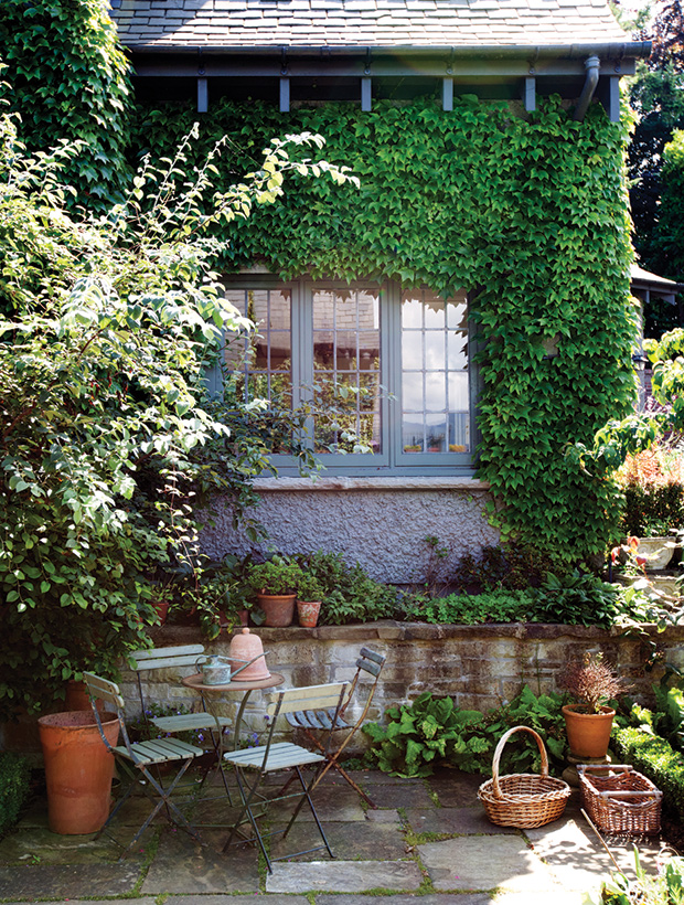ivy-covered eclectic backyard vintage