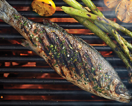 Grilled Branzino with Tarragon Gremolata Aioli