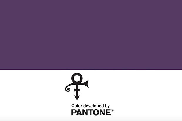 Prince, Dark Purple Paint Color