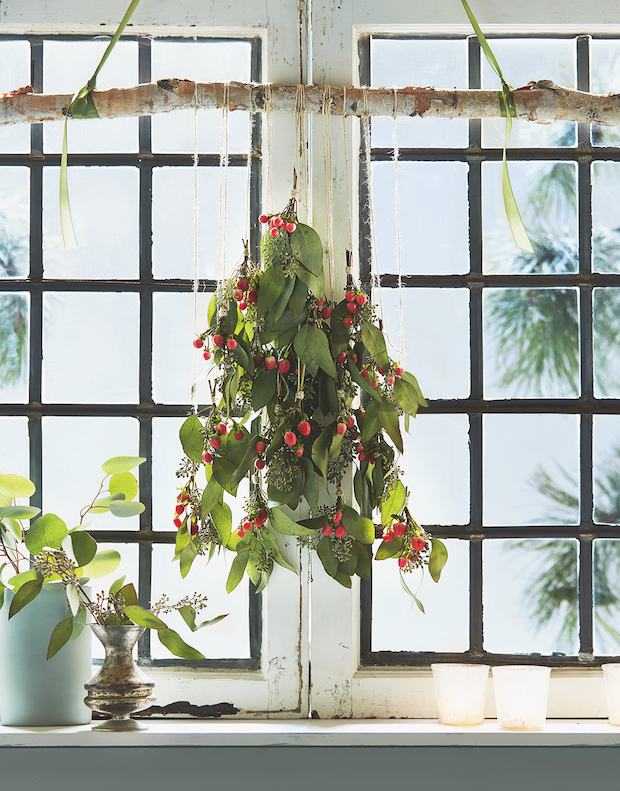 Hanging eucalyptus and berries on a window