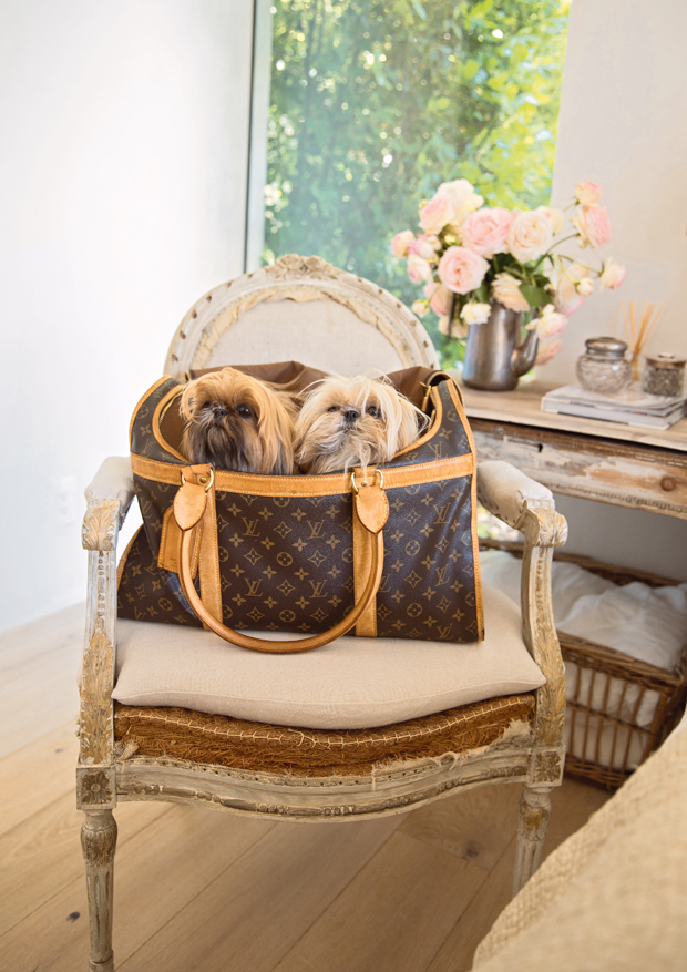 House & Home - Meet The Pampered Pets Of These Celebrity Designers