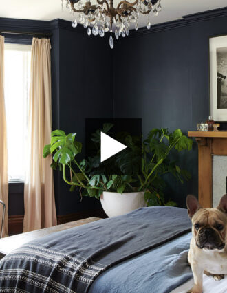 moody bedroom oasis black walls