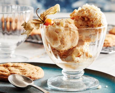 Quick Pumpkin Ice Cream