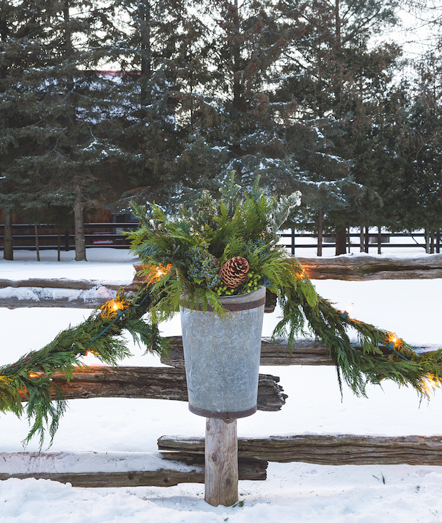 Pots of outdoor greenery creates a lively Christmas mood