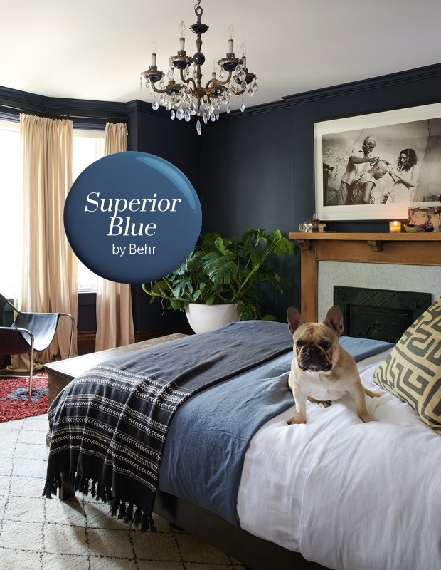 2019 Paint trends Superior Blue by Behr