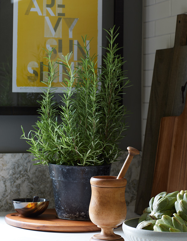 Gillian Gillies traditional kitchen herbs and mortar and pestol