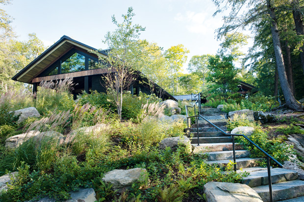 contemporary, nature-inspired cottage