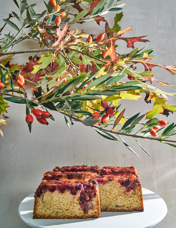 Tartine cookbook cranberry upside down cake