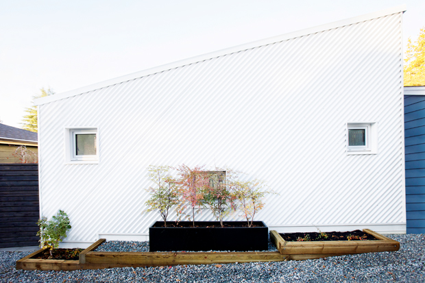 minimalist laneway house exterior