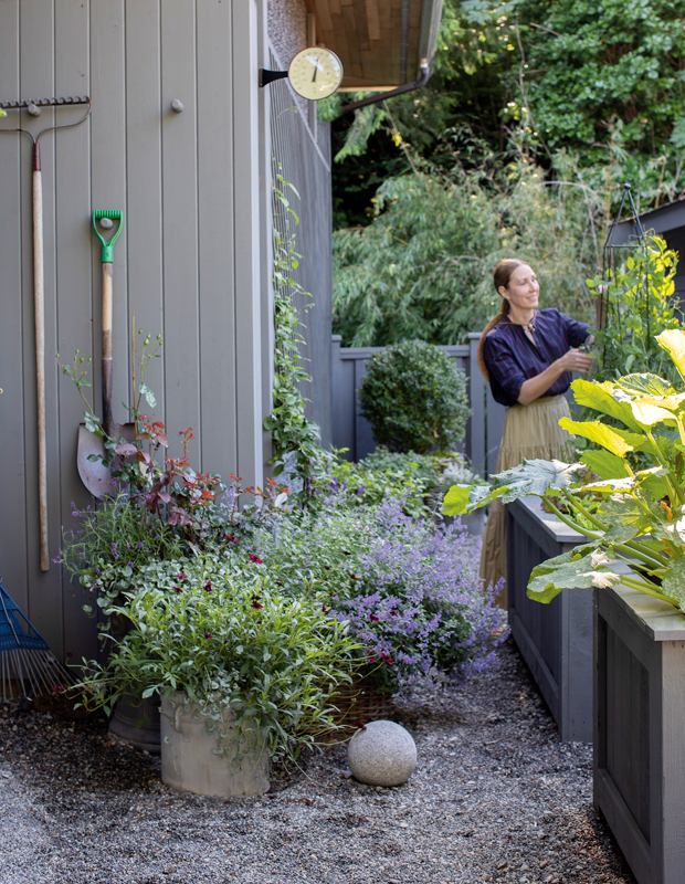 Premium Photo  A tranquil zen garden with a small pond bonsai trees and  raked sand patterns