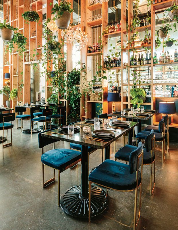 A vertical photo of an upscale restaurant with long classic tables and chairs with gold bars and blue velvet seating. several plant baskets hang from the ceiling, their vines hanging in the air over the tables. a mirrored wall with a light coloured wooden shelving unit with bottles of liquor and wine occupies the back wall, and warm toned lamps and candles give the space a homey glow. calgary travel guide