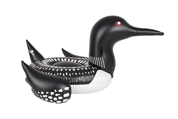 A pool-float in the shape of a loon
