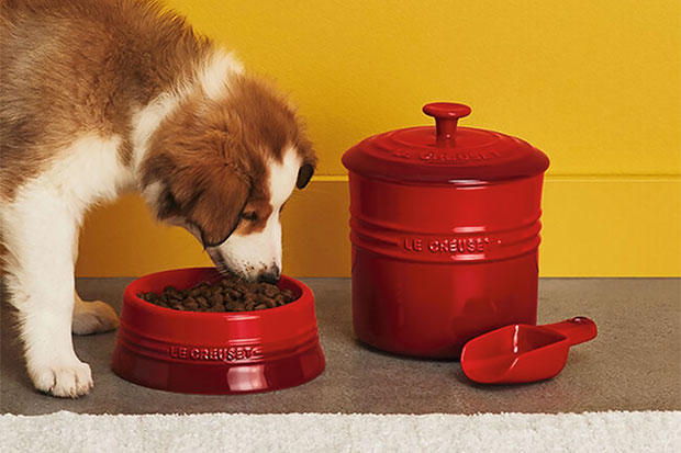 Photograph of a sustainable gift: A brown and white dog eats dog food out of a red dog bowl beside a red food container with a red scoop against a yellow background.