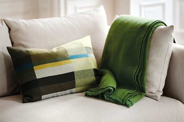 Photograph of a sustainable gift: A green blanket draped over a beige couch cushion.
