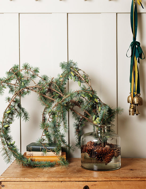 A photograph of a holiday craft: a small evergreen bough in a glass of water sitting on a wood counter against a white wall.