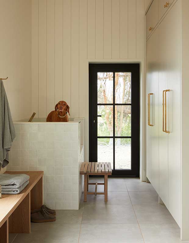 Photo of house featuring English design: A reddish-brown dog stands in a tiled tub beside a door leading to the outdoors.